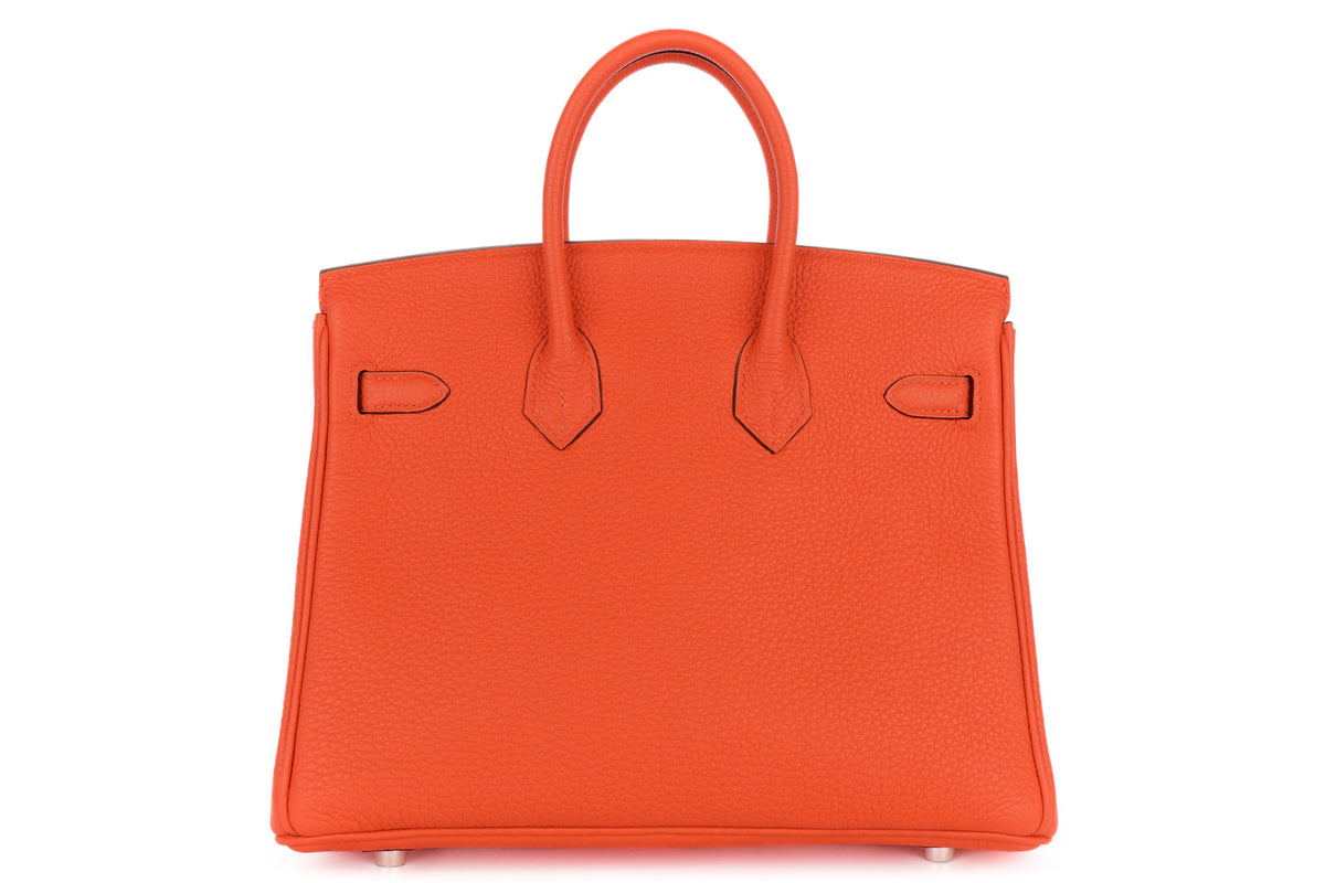 Hermès Birkin 25 Capucine Togo Palladium Hardware - view 3
