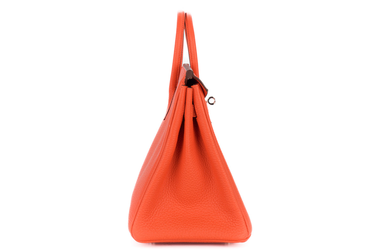 Hermès Birkin 25 Capucine Togo Palladium Hardware - view 5