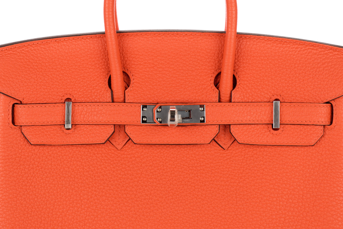 Hermès Birkin 25 Capucine Togo Palladium Hardware - view 7