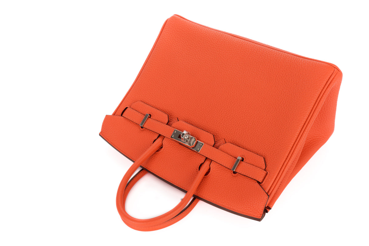 Hermès Birkin 25 Capucine Togo Palladium Hardware - view 8