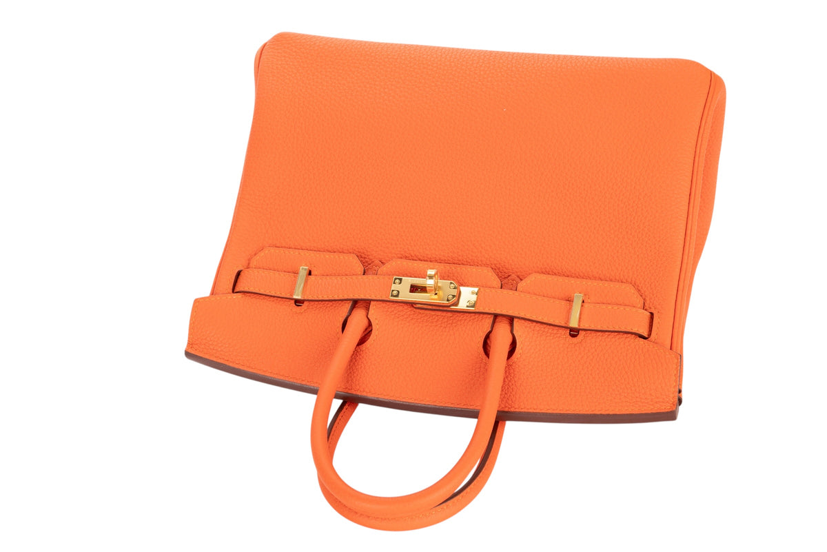 Hermès Birkin 25 Feu Togo Gold Hardware - view 8