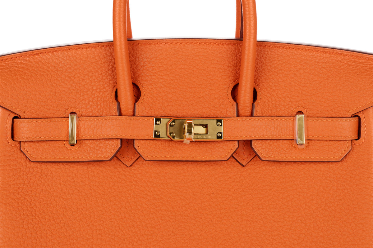 Hermès Birkin 25 Orange Togo Gold Hardware - view 7
