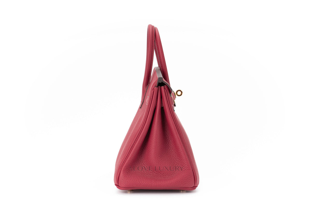 Hermès Birkin 25 Rouge Grenate Togo Gold Hardware - view 5