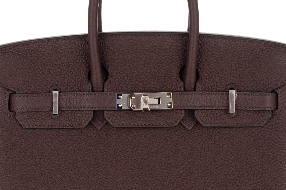 Hermès Birkin 25 Rouge Sellier Togo Palladium Hardware - view 7