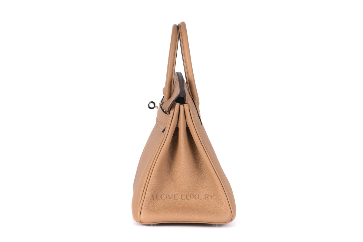 Hermès Birkin 25 Chai Togo Palladium Hardware - view 4