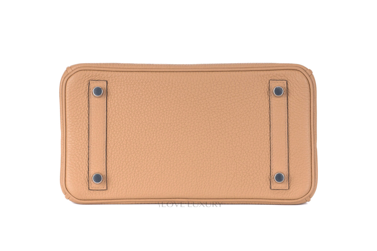 Hermès Birkin 25 Chai Togo Palladium Hardware - view 5