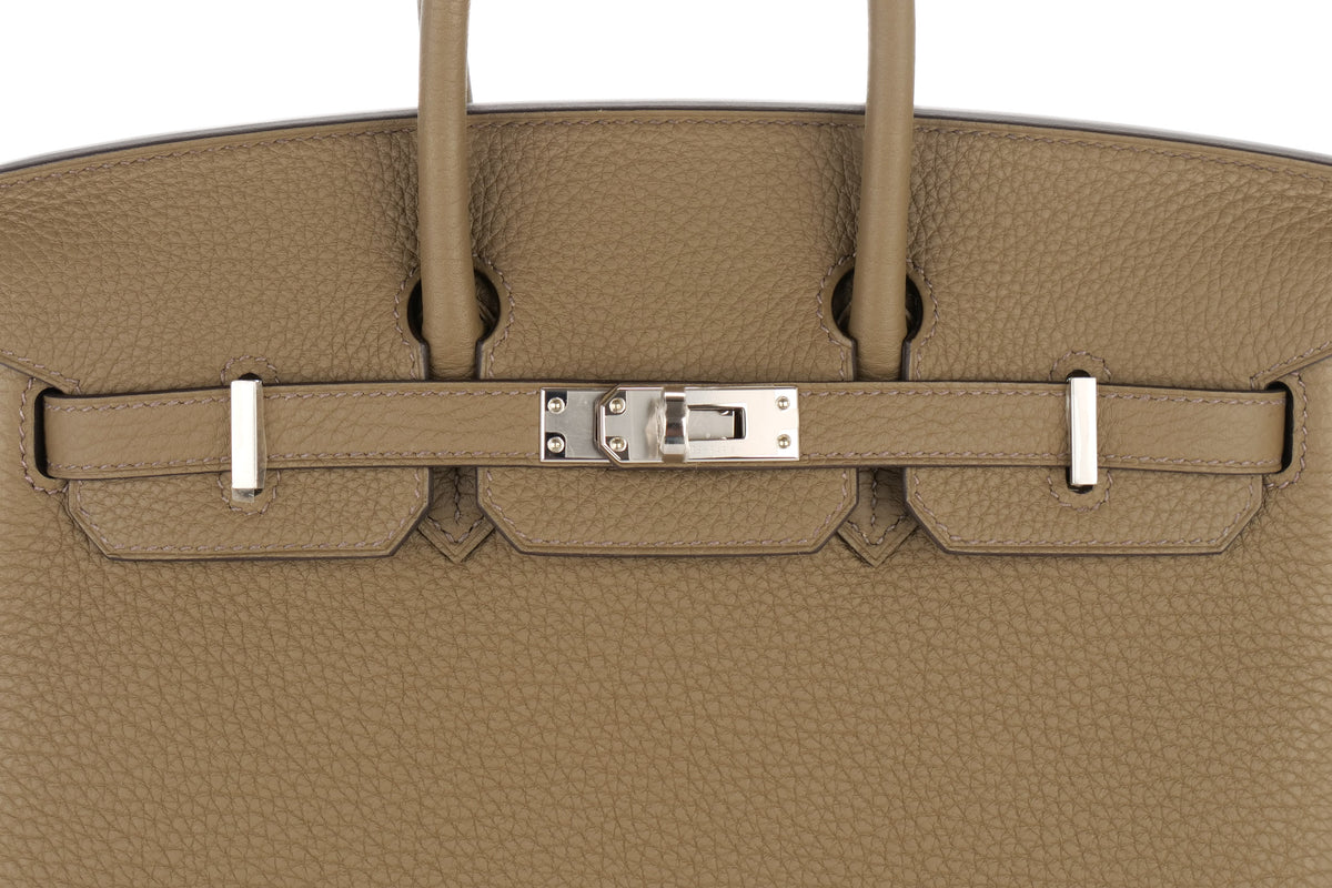 Hermès Birkin 25 Toundra Togo Palladium Hardware - view 7