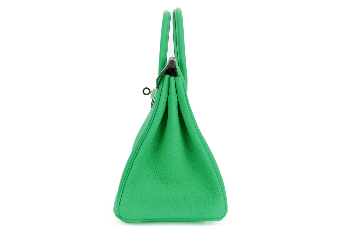 Hermès Birkin 25 Vert Comics Togo Palladium Hardware - view 4