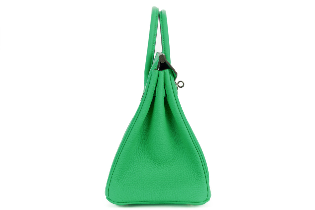 Hermès Birkin 25 Vert Comics Togo Palladium Hardware - view 5