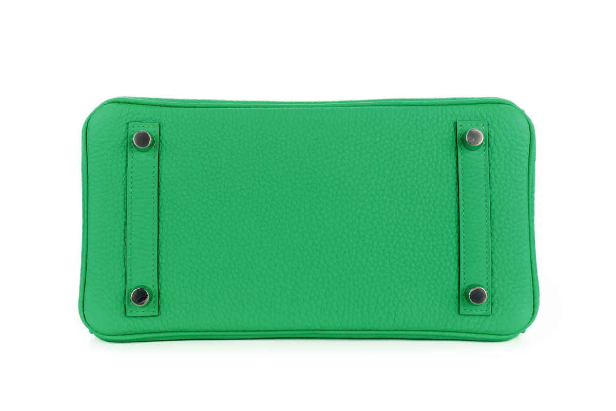 Hermès Birkin 25 Vert Comics Togo Palladium Hardware - view 6
