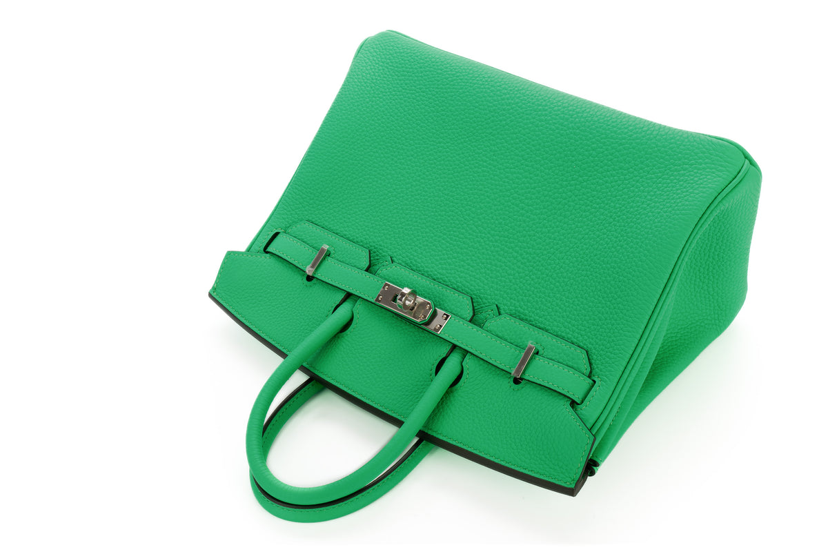 Hermès Birkin 25 Vert Comics Togo Palladium Hardware - view 8