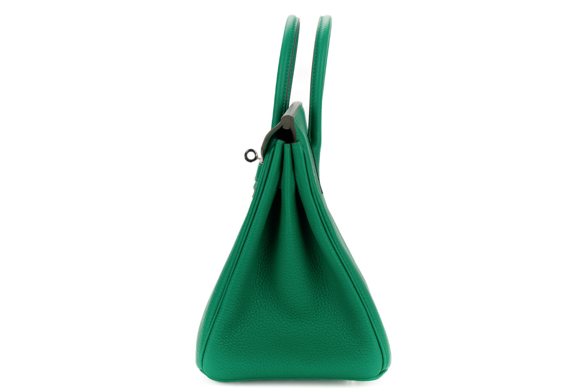 Hermès Birkin 25 Vert Vertigo Togo Palladium Hardware - view 4