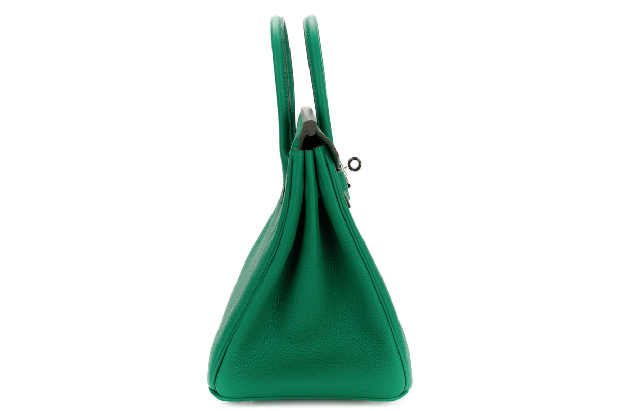 Hermès Birkin 25 Vert Vertigo Togo Palladium Hardware - view 5