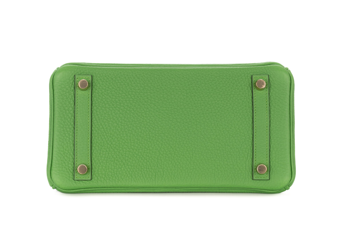 Hermès Birkin 25 Vert Yucca Togo Gold Hardware - view 6