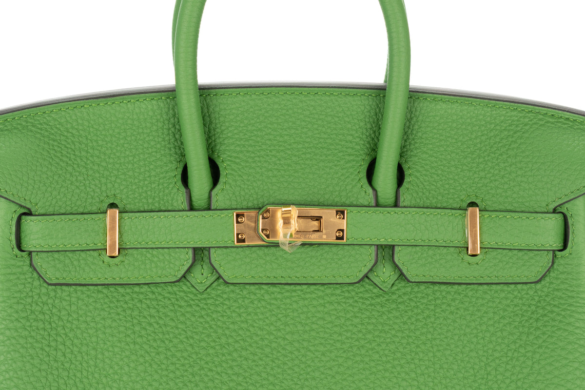 Hermès Birkin 25 Vert Yucca Togo Gold Hardware - view 7
