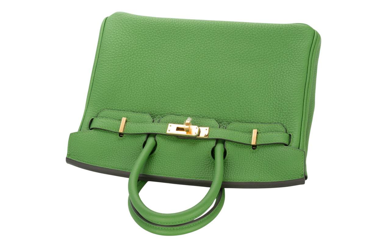 Hermès Birkin 25 Vert Yucca Togo Gold Hardware - view 8