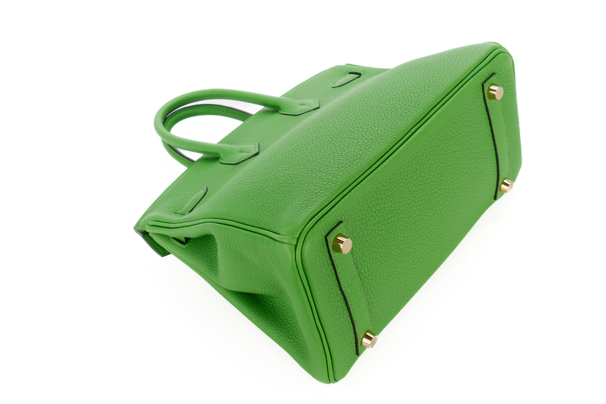 Hermès Birkin 25 Vert Yucca Togo Gold Hardware - view 10