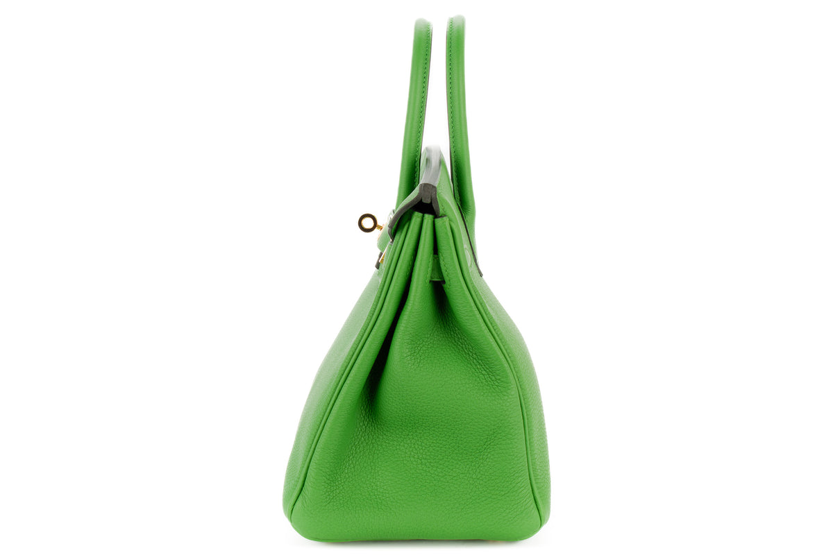 Hermès Birkin 25 Vert Yucca Togo Gold Hardware - view 4