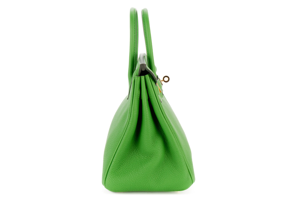 Hermès Birkin 25 Vert Yucca Togo Gold Hardware - view 5