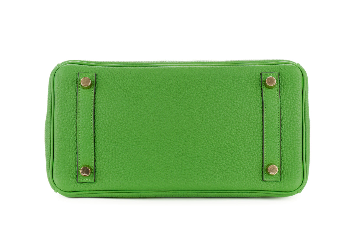 Hermès Birkin 25 Vert Yucca Togo Gold Hardware - view 6