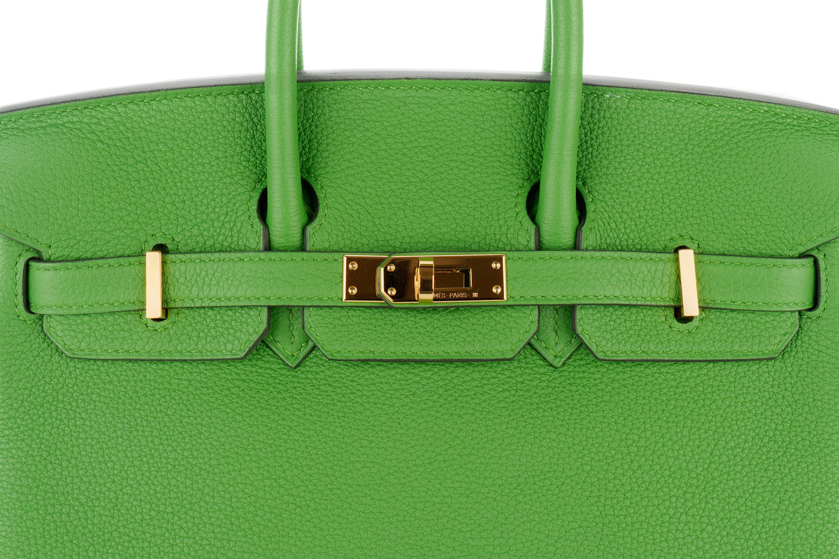 Hermès Birkin 25 Vert Yucca Togo Gold Hardware - view 7