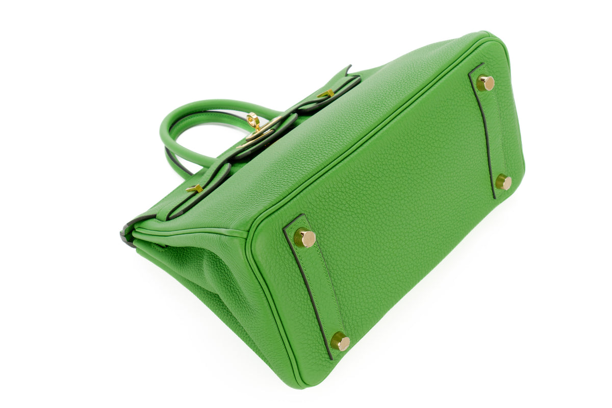 Hermès Birkin 25 Vert Yucca Togo Gold Hardware - view 8