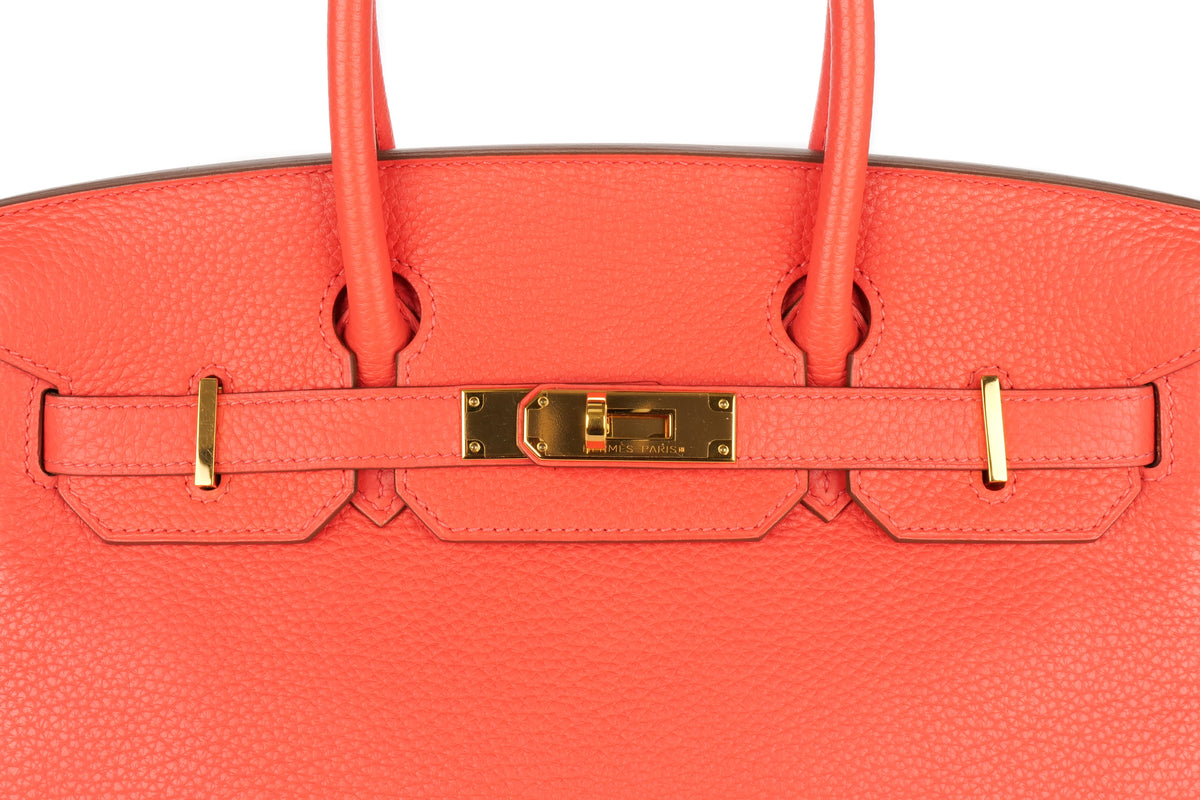 Hermès Birkin 30 Rose Jaipur Clemence Gold Hardware - view 7