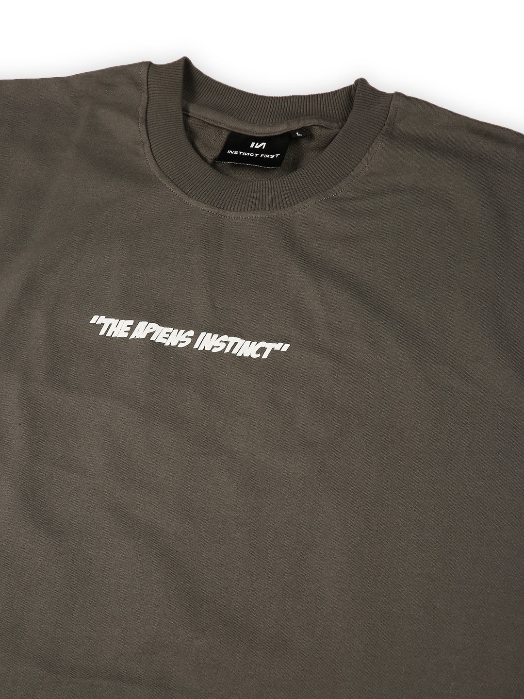 Apiens  - Oversized Tshirt (Grey) by Instinct First