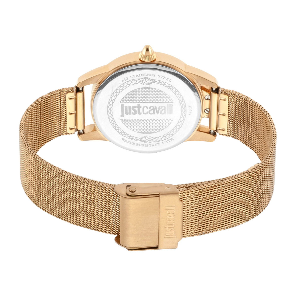 JC Shine 2 Yellow Gold Glitter - Just Cavalli JC1L057M0335