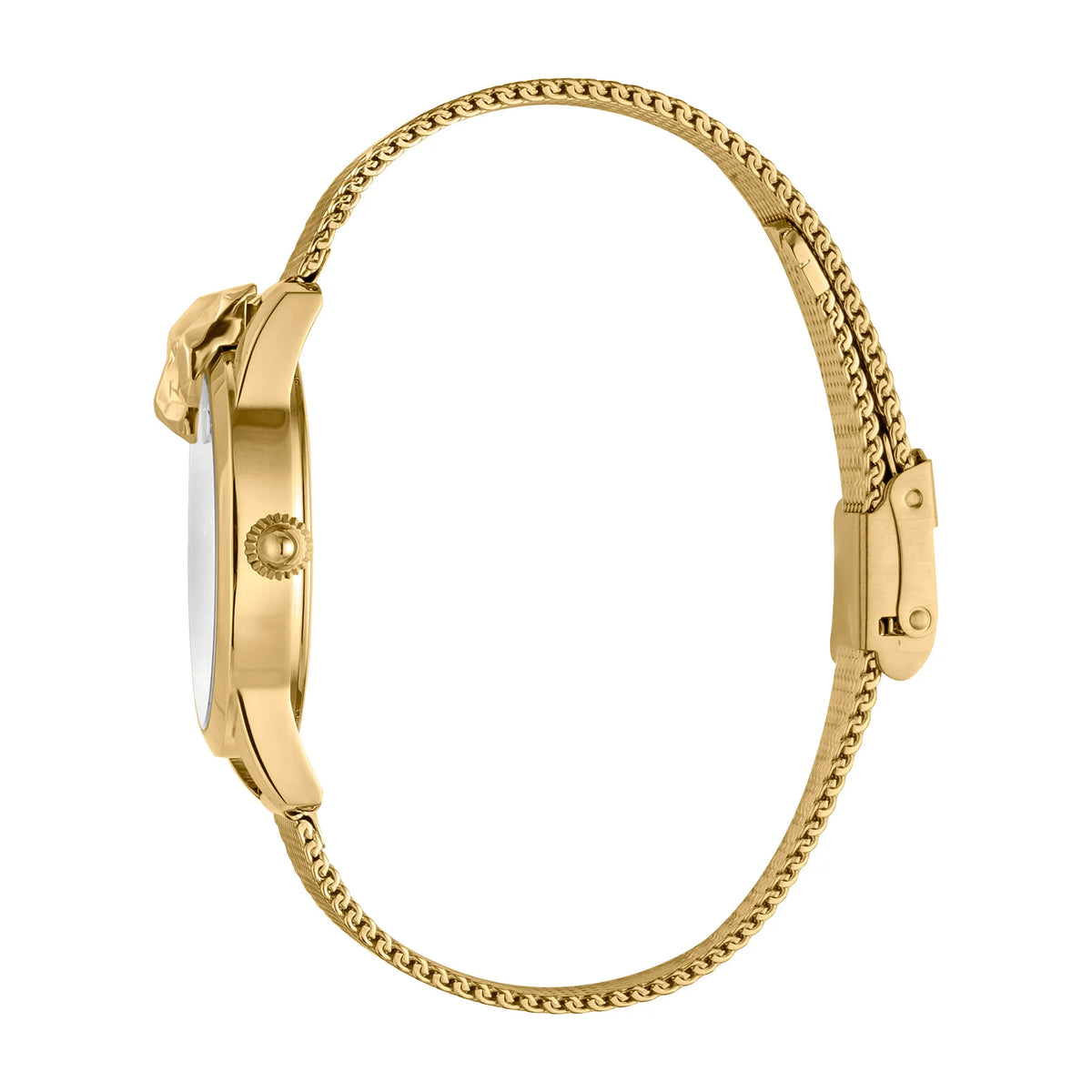 JC Shine 2 Yellow Gold Glitter - Just Cavalli JC1L057M0335