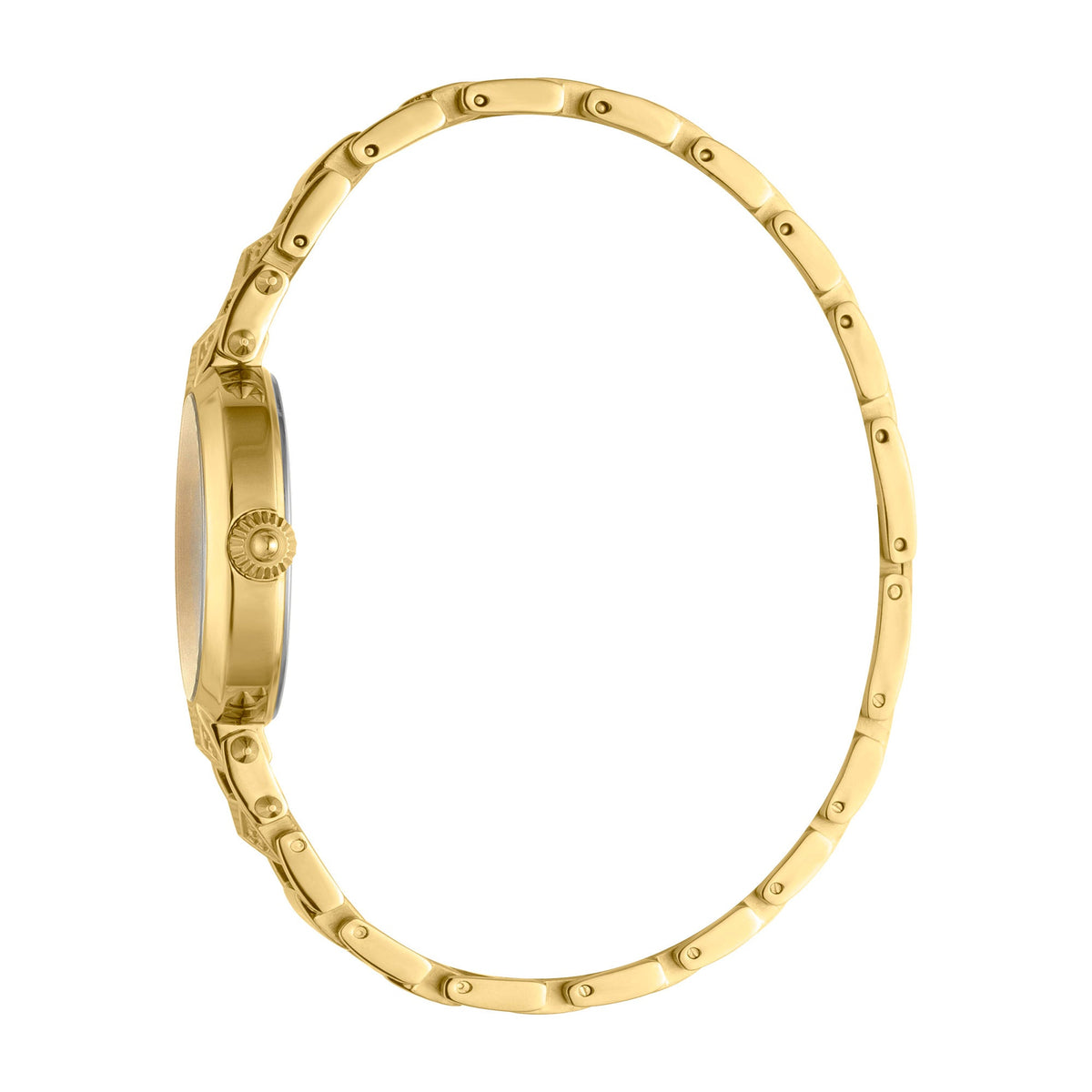 Just Mio Two Tone Yellow Gold - Just Cavalli JC1L076M0135