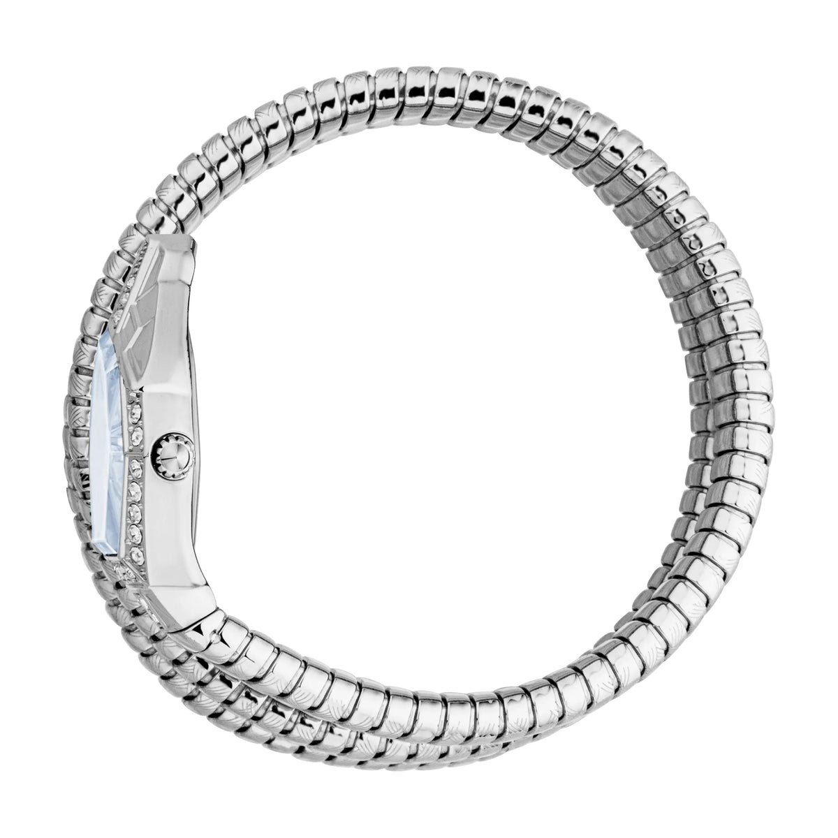Mesmerizing Silver Blue - Just Cavalli JC1L304M0015