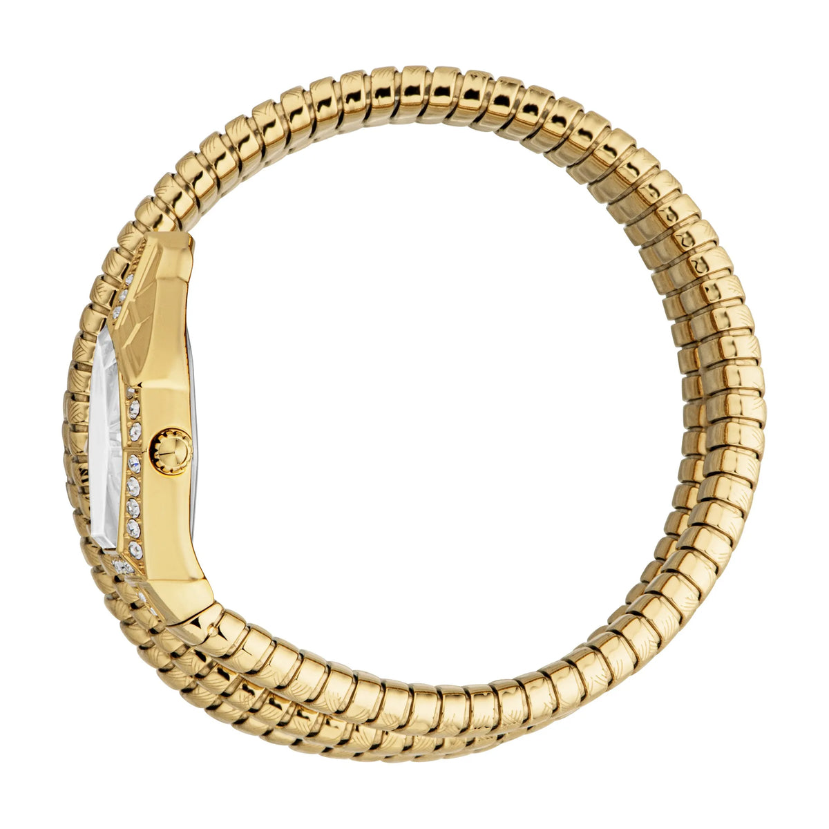 Mesmerizing Yellow Gold Silver - Just Cavalli JC1L304M0025