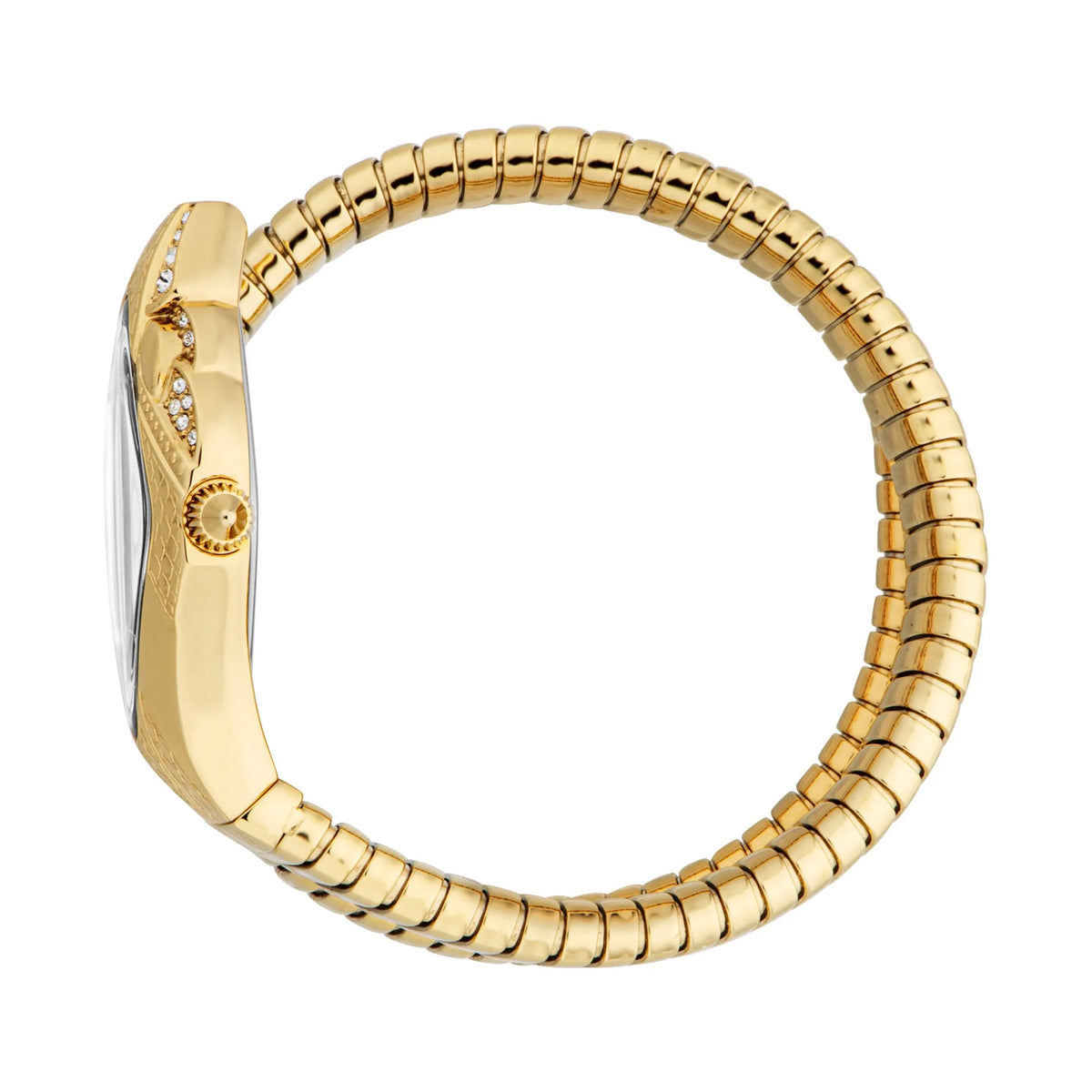 Ferocious Yellow Gold Silver - Just Cavalli JC1L306M0035