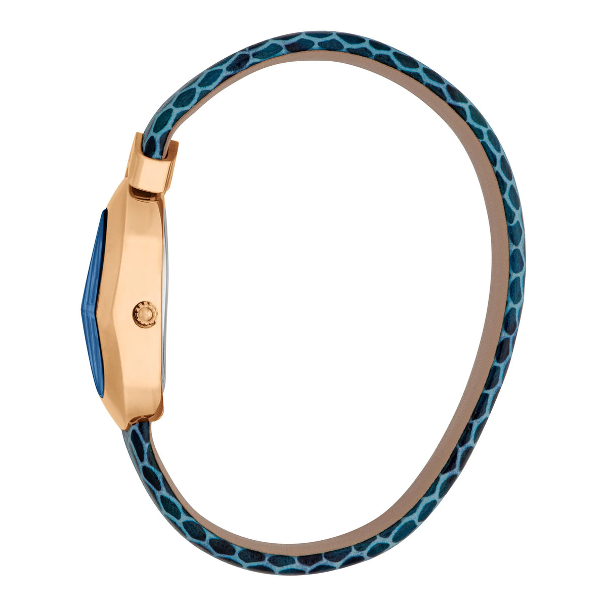 Diversa Snake Blu - Just Cavalli JC1L321L0055