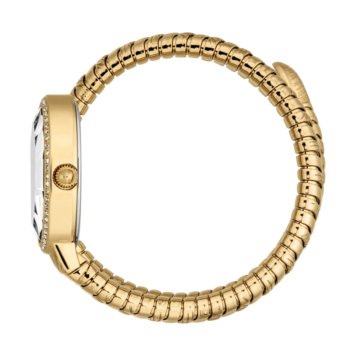 Velina Yellow Gold Silver - Just Cavalli JC1L353M0025