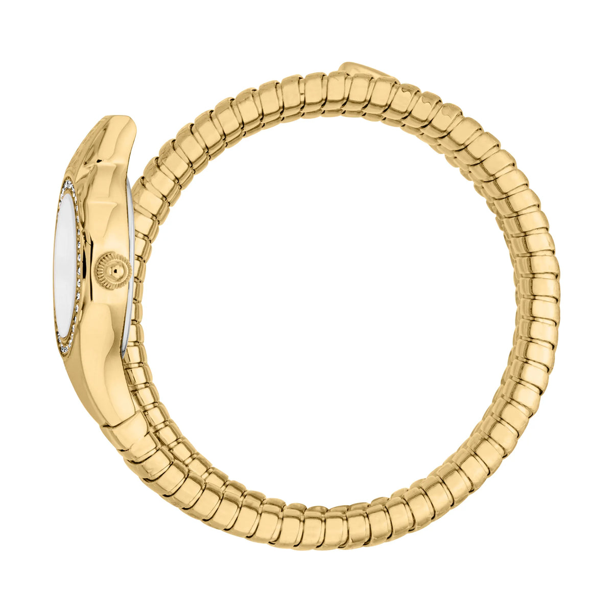 Vita Yellow Gold Silver - Just Cavalli JC1L355M0025