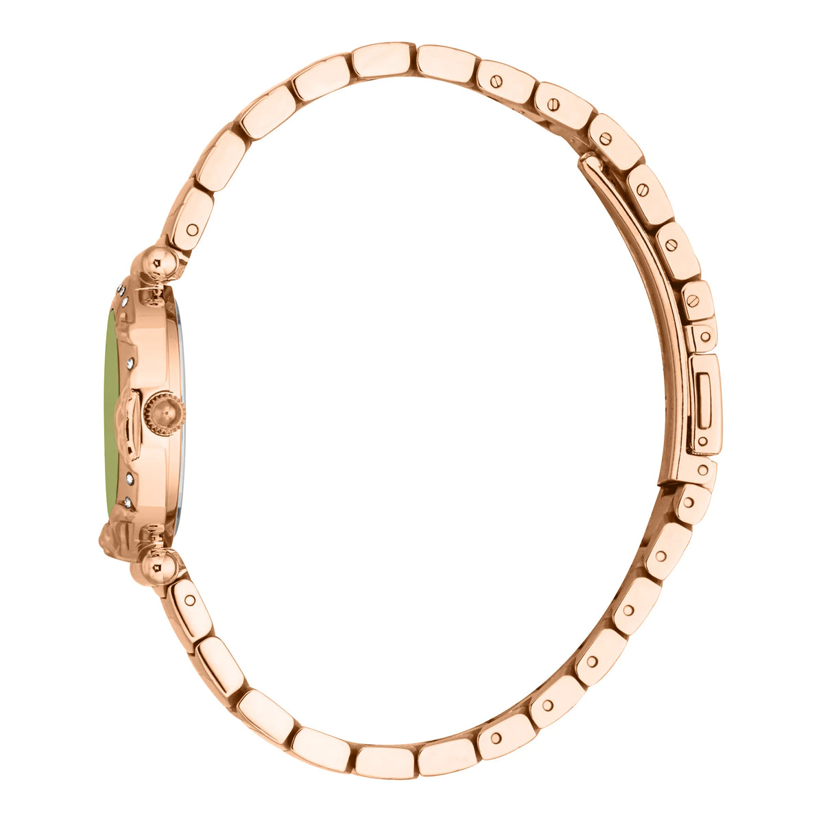 Stella Snake Rose Gold Green - Just Cavalli JC1L363M0055