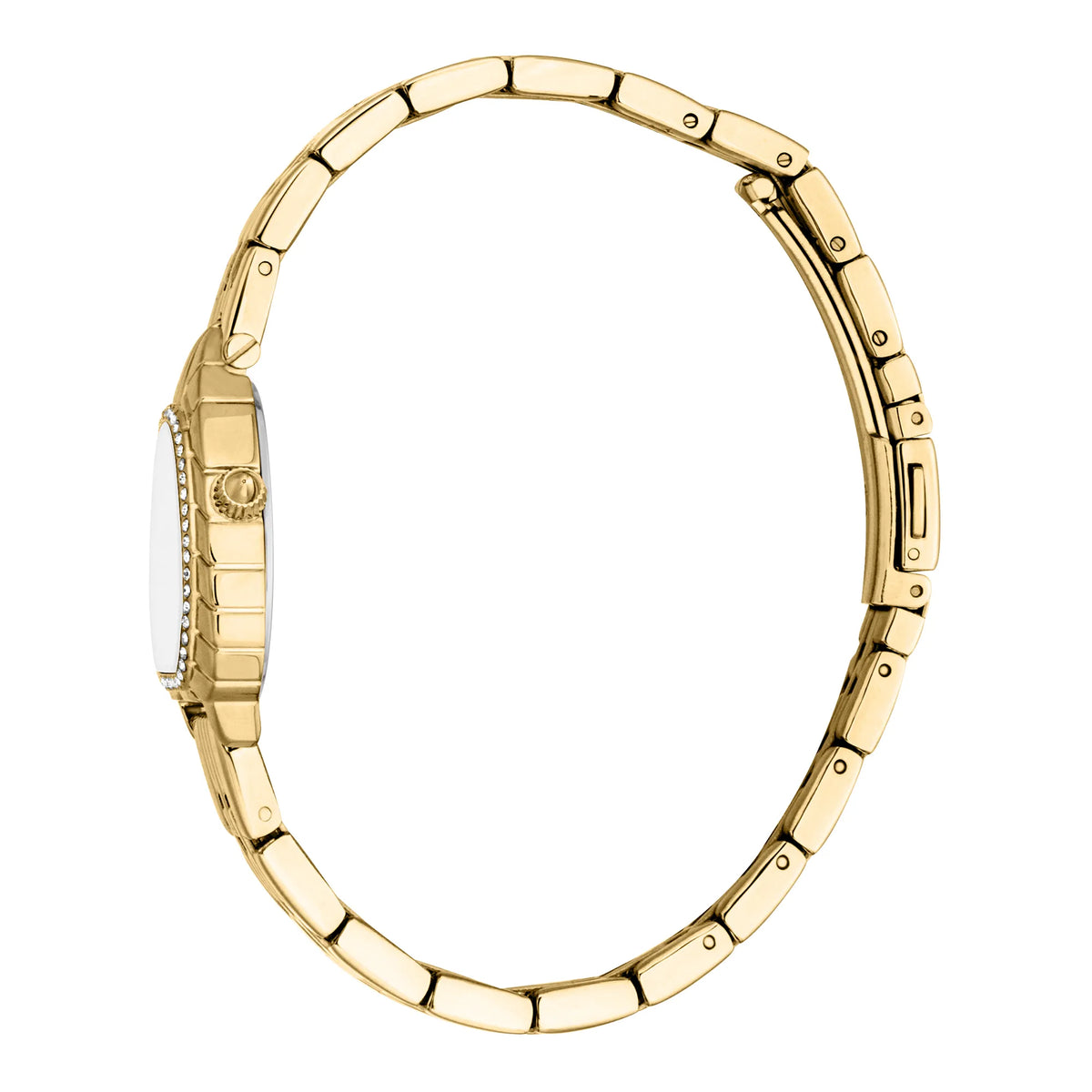 Perla Yellow Gold Silver - Just Cavalli JC1L366M0055