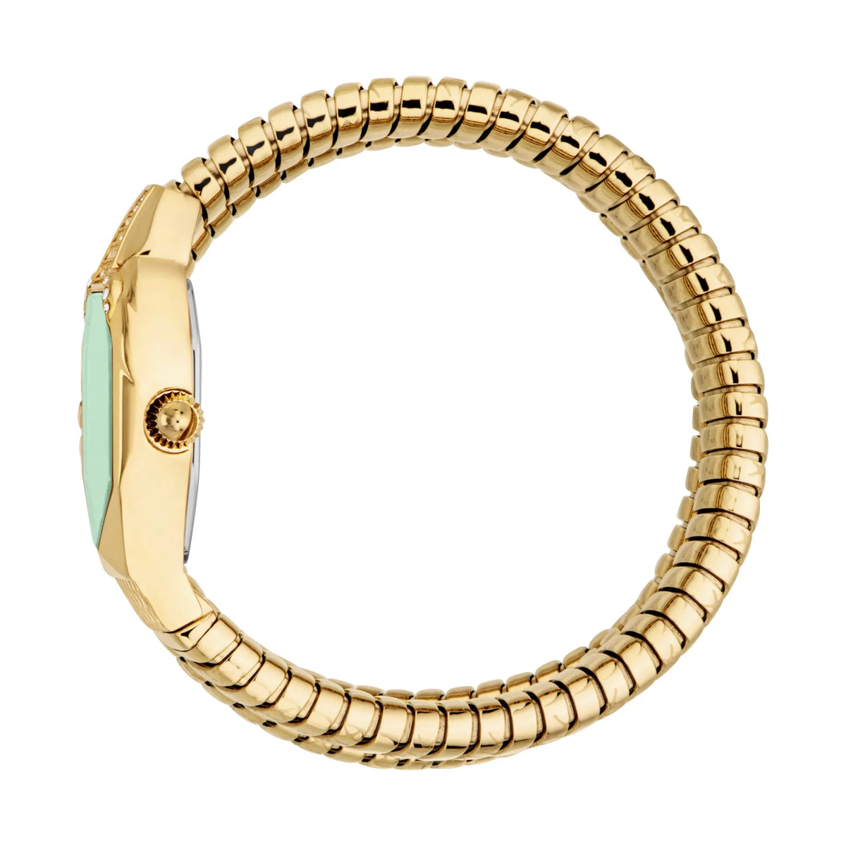Ambra Yellow Gold Green - Just Cavalli JC1L370M0035