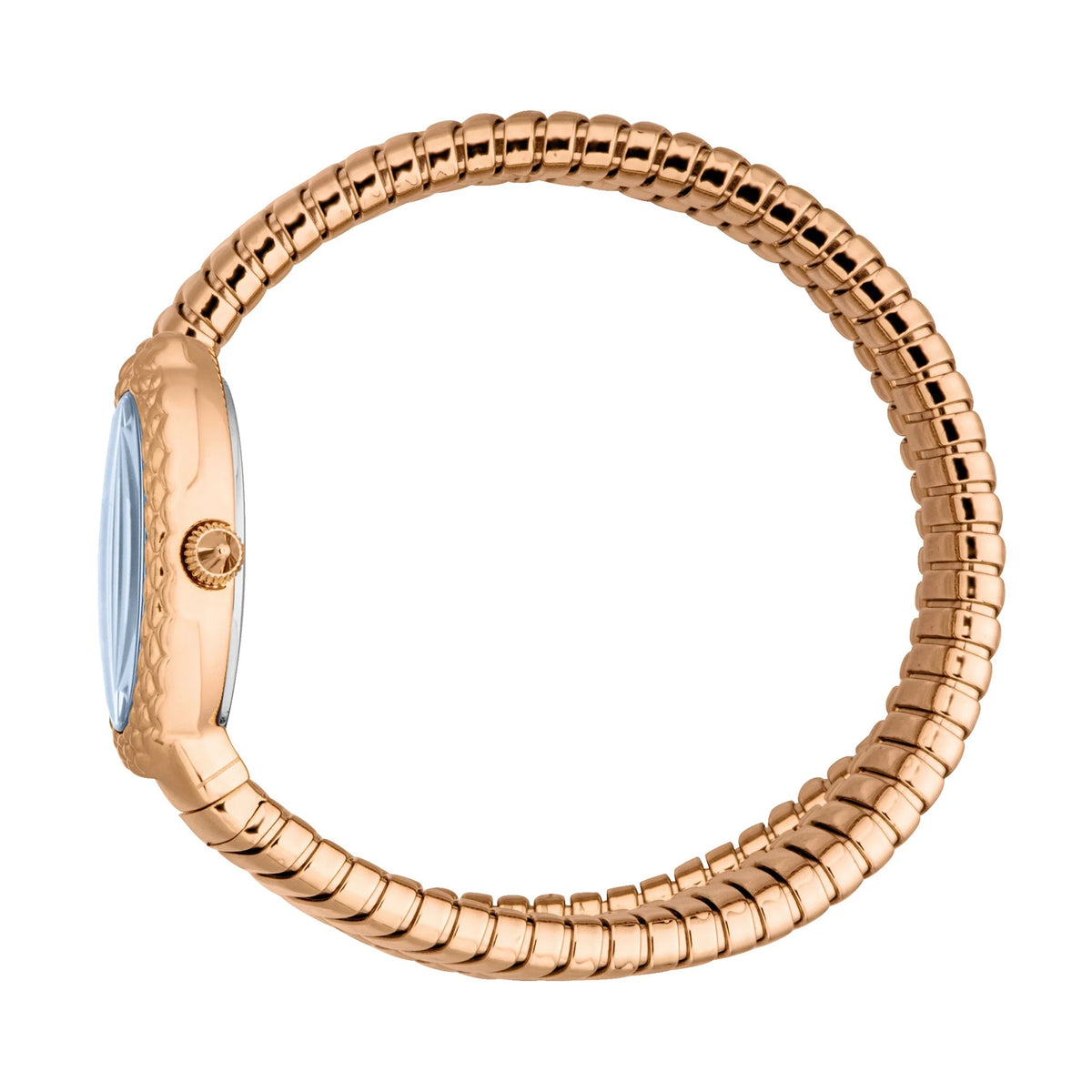 Sognia Rose Gold Blue - Just Cavalli JC1L391M0035