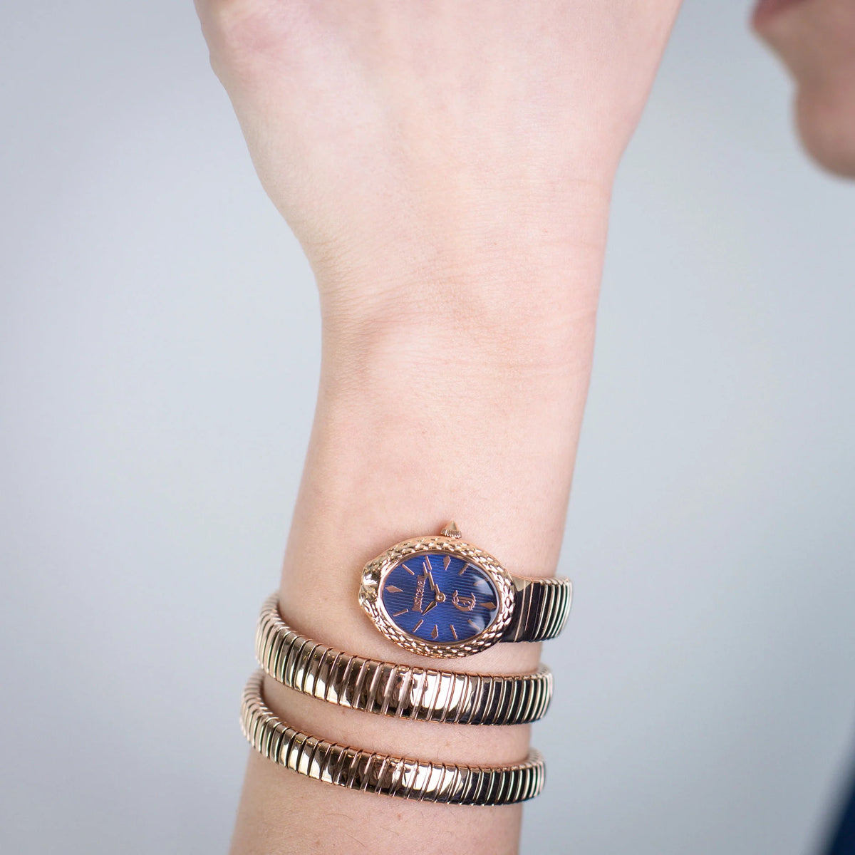 Sognia Rose Gold Blue - Just Cavalli JC1L391M0035
