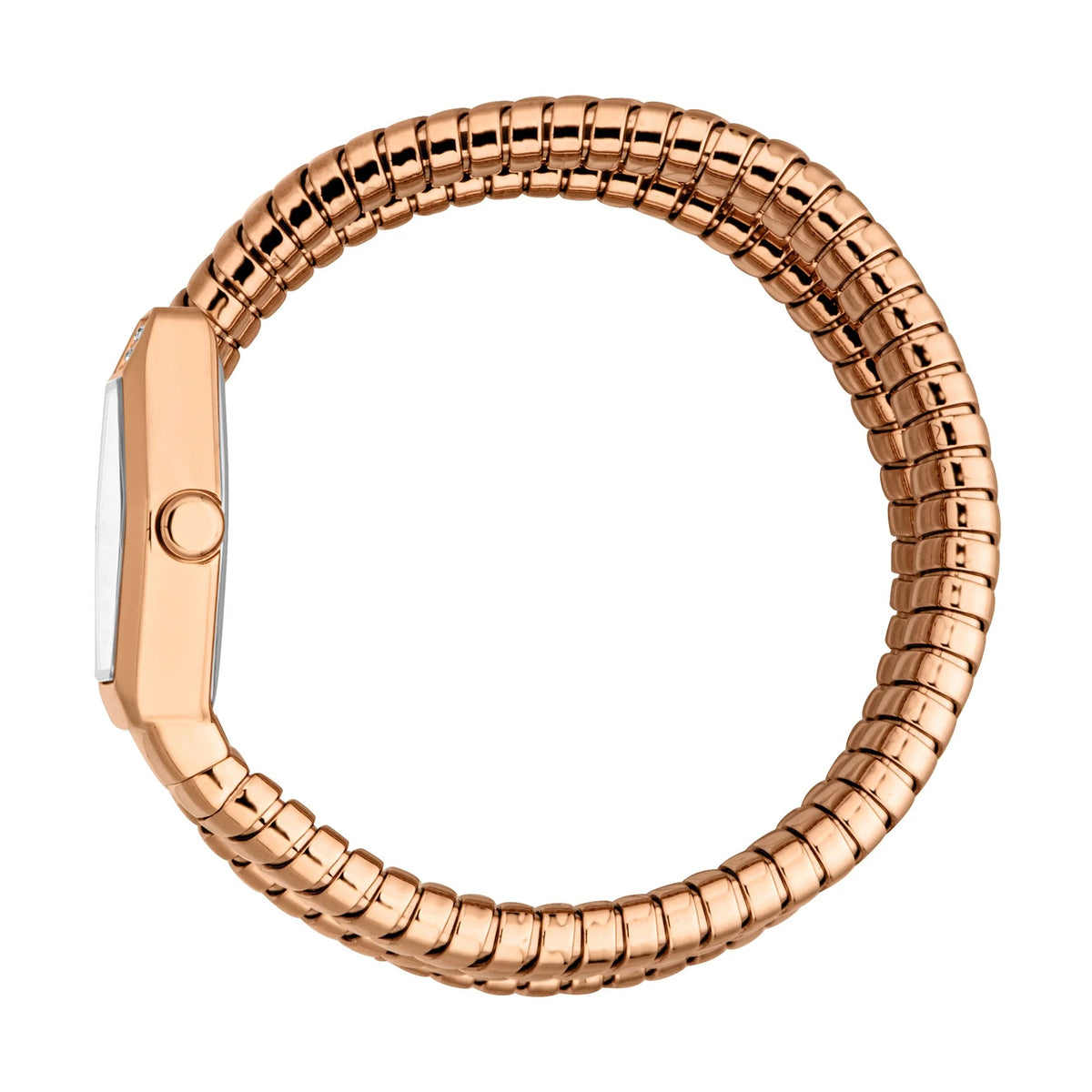 Romina Rose Gold Silver - Just Cavalli JC1L395M0045