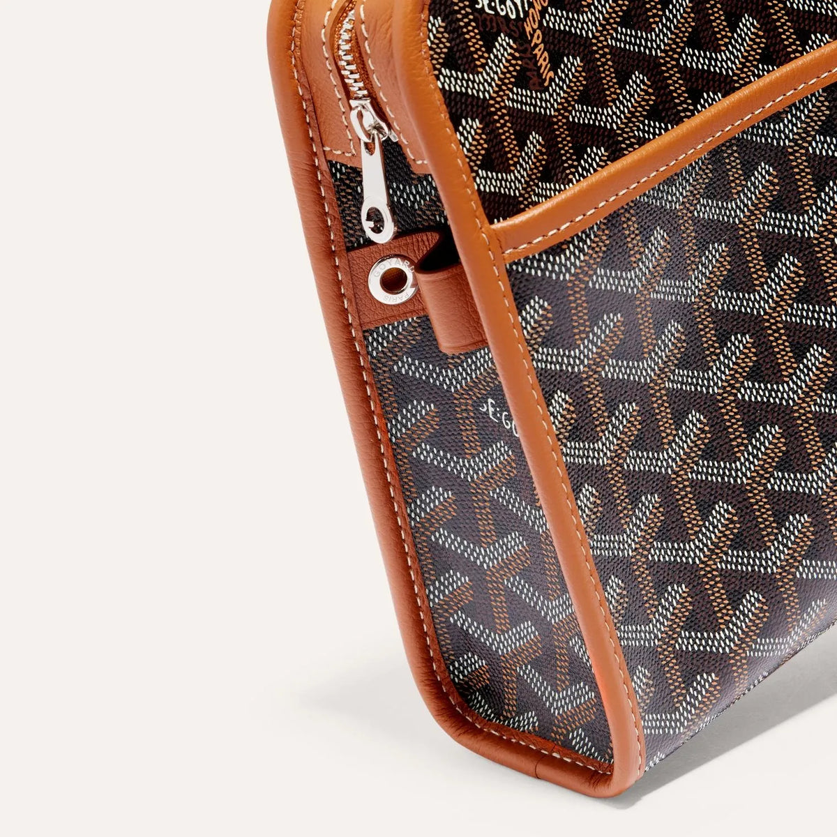 Goyard Jouvence MM Toiletry Bag in Black & Tan