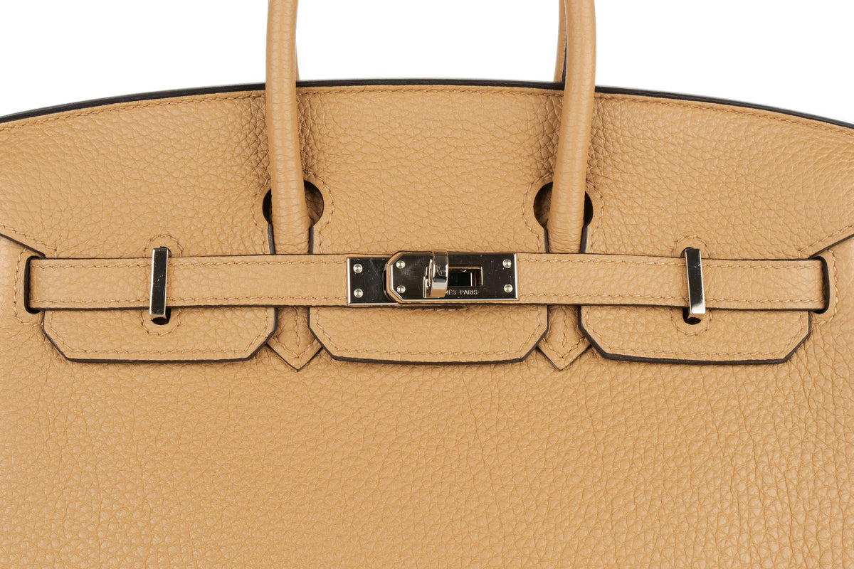 Hermès Birkin 25 Chai Togo Palladium Hardware - view 7