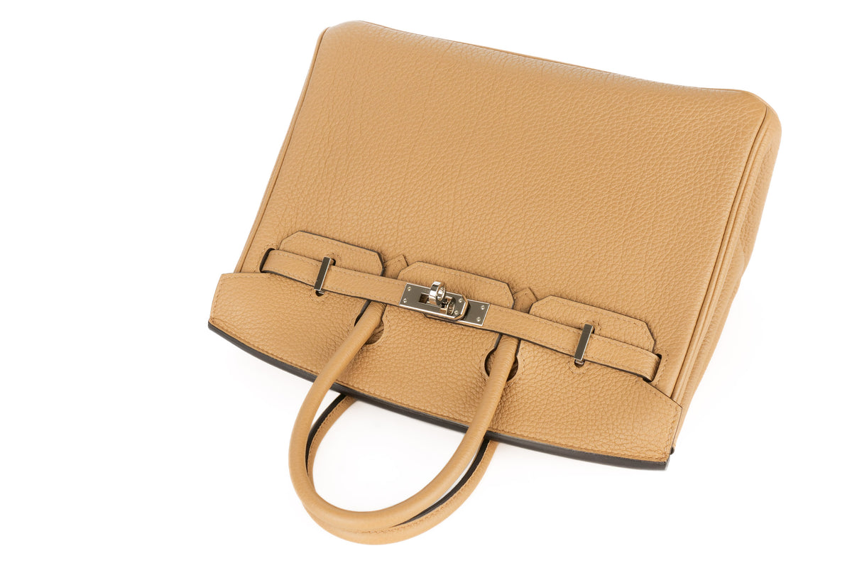 Hermès Birkin 25 Chai Togo Palladium Hardware - view 8