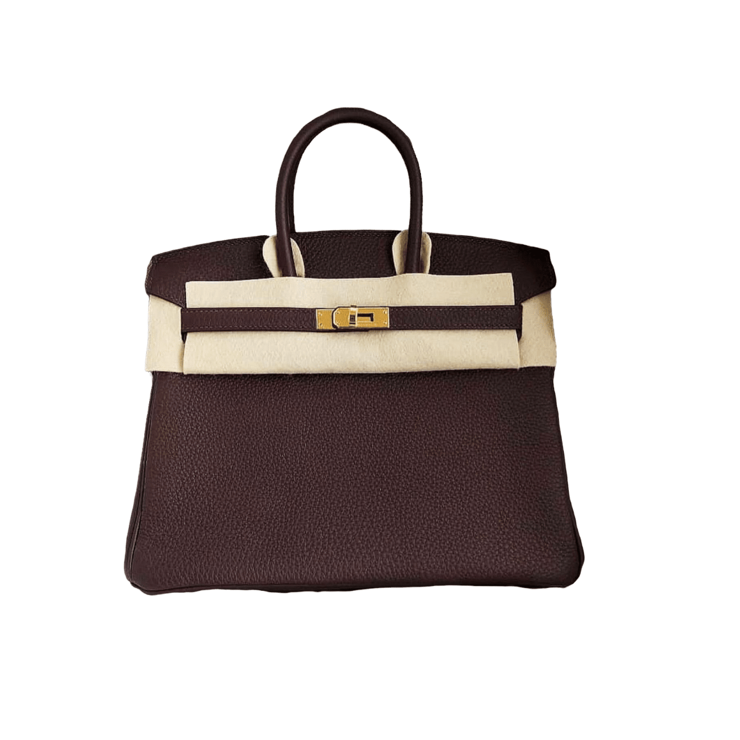 Hermès Birkin 25 Chocolate Togo GHW
