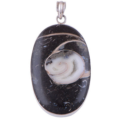 Colus Fossil 925 Sterling Silver Pendant - R101116-2