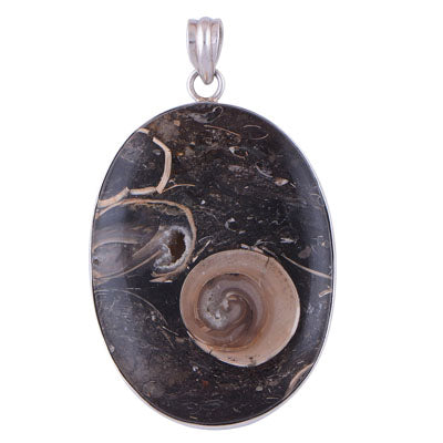 Colus Fossil 925 Sterling Silver Pendant - R101116-5