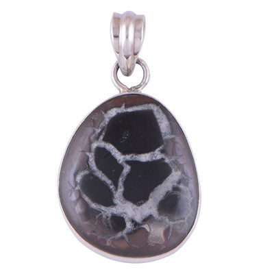 Septarian Gronates 925 Sterling Silver Pendant - R101119-2